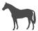 国産馬