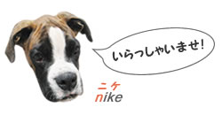 いらっしゃいませ